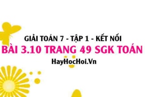 Giải bài 3.10 trang 49 Toán 7 Tập 1 SGK Kết nối tri thức: Hai đường thẳng song song
